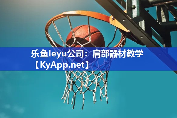 肩部器材教学 肩部器材教学