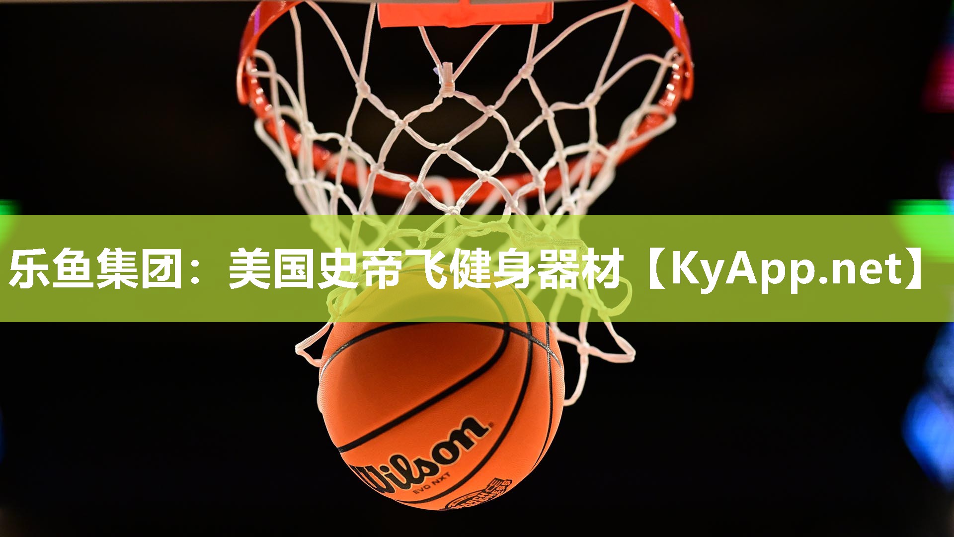 美国史帝飞健身器材 美国史帝飞健身器材