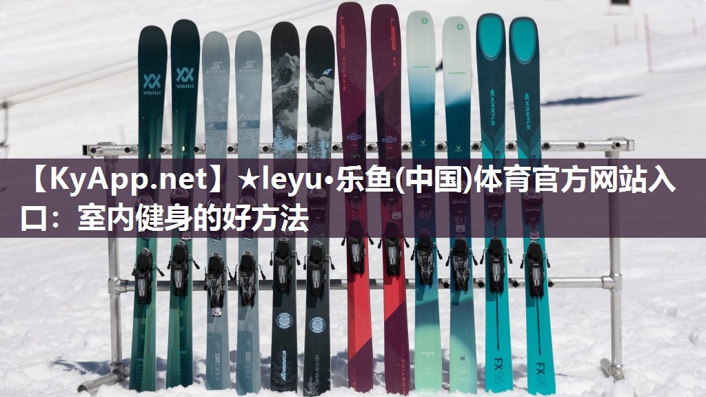 室内健身的好方法 室内健身的好方法