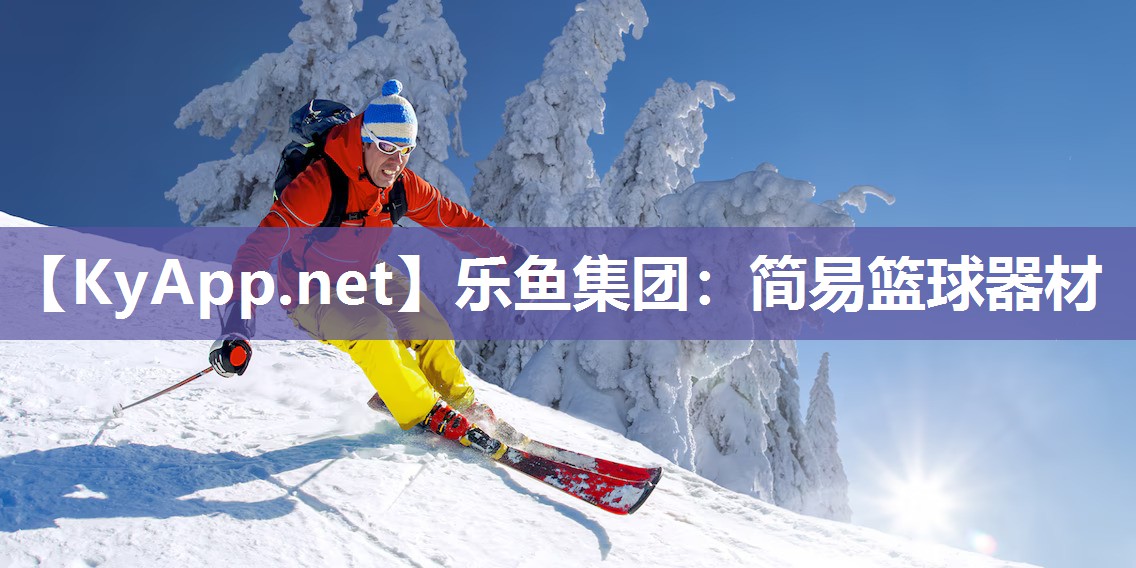 简易篮球器材 简易篮球器材