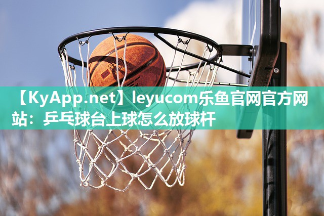 乒乓球台上球怎么放球杆 乒乓球台上球怎么放球杆