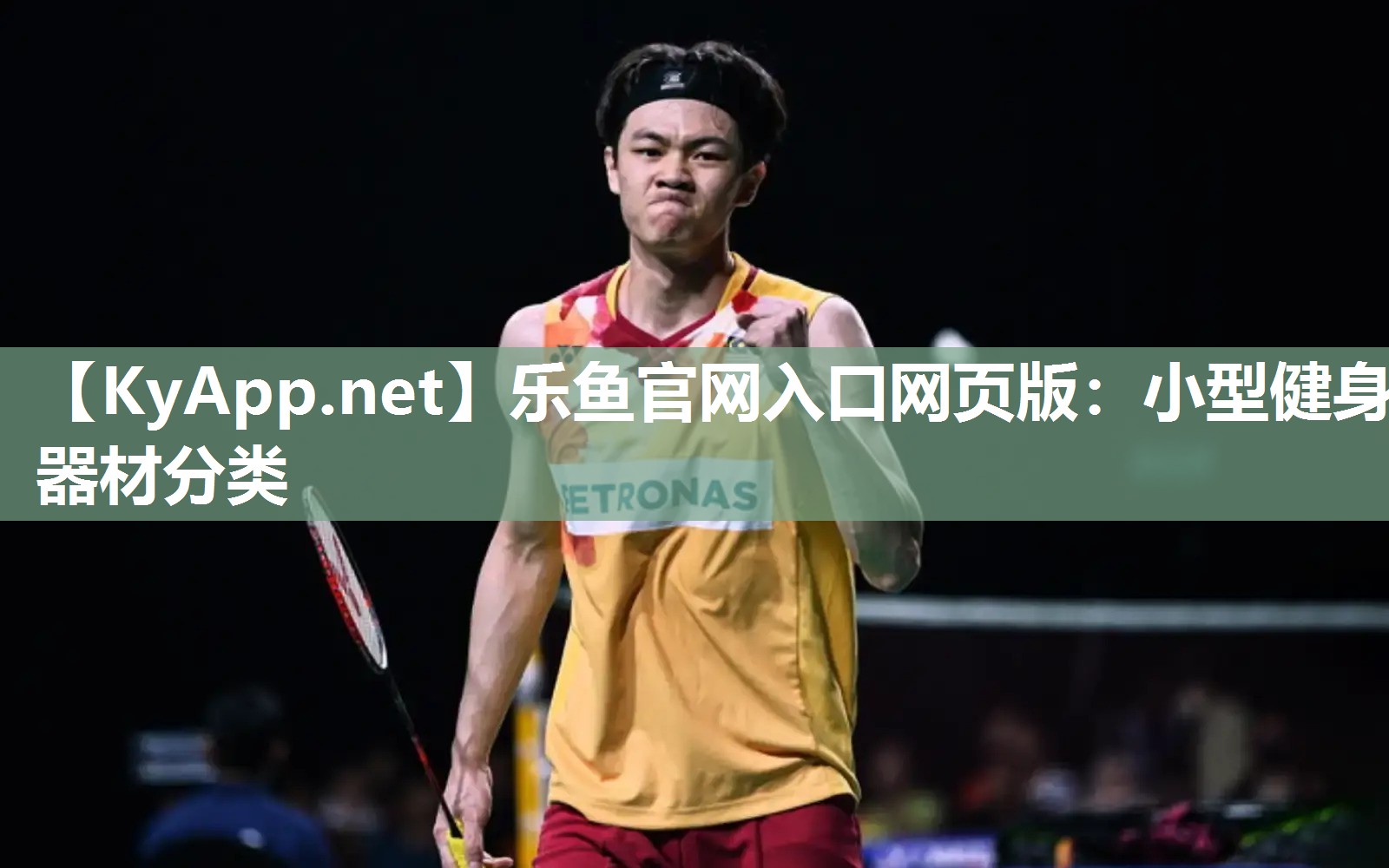 小型健身器材分类