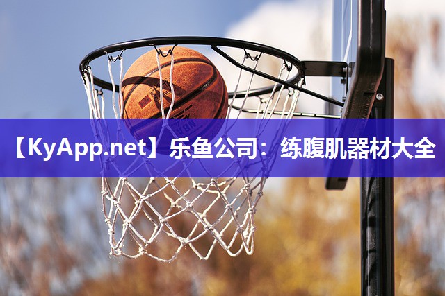 练腹肌器材大全 练腹肌器材大全