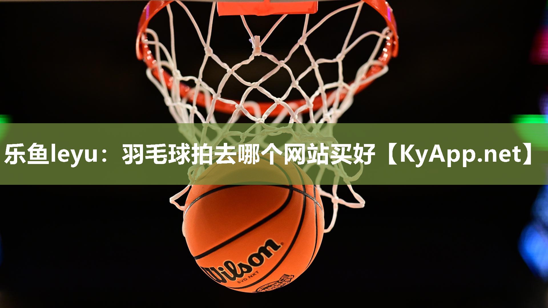 羽毛球拍去哪个网站买好 羽毛球拍去哪个网站买好