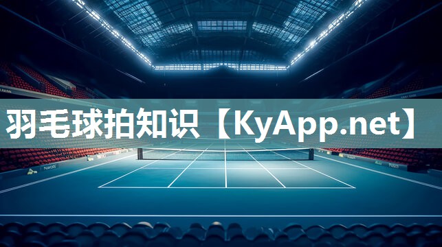 羽毛球拍知识 羽毛球拍知识