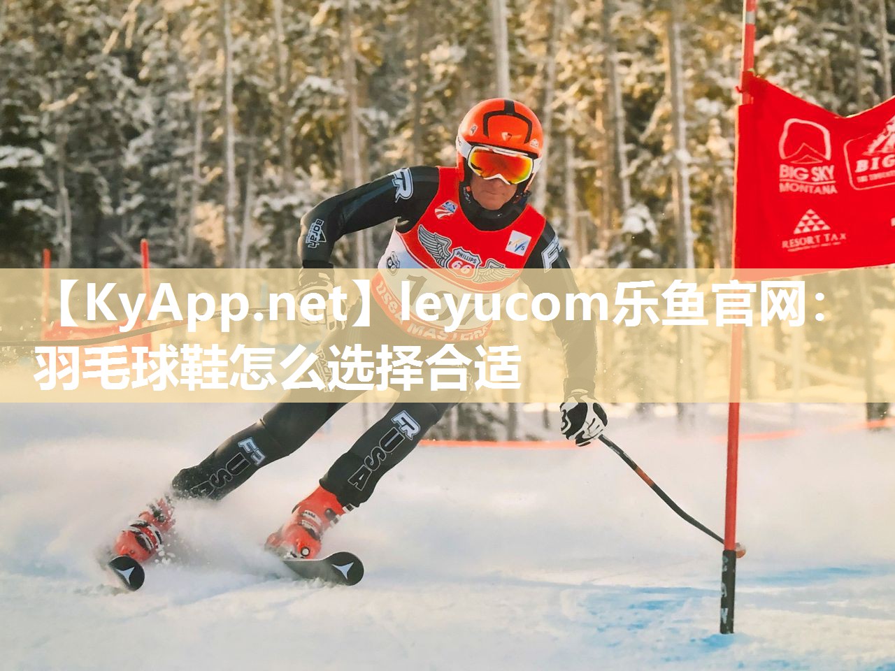 羽毛球鞋怎么选择合适 羽毛球鞋怎么选择合适