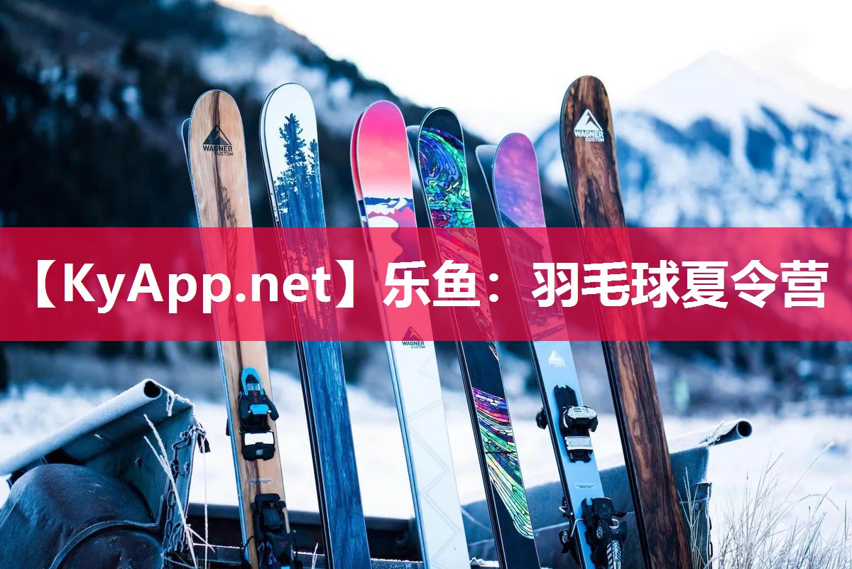 羽毛球夏令营 羽毛球夏令营