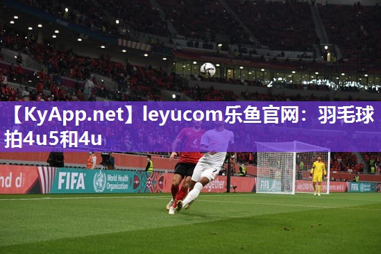 羽毛球拍4u5和4u 羽毛球拍4u5和4u