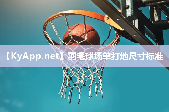羽毛球场单打地尺寸标准 羽毛球场单打地尺寸标准