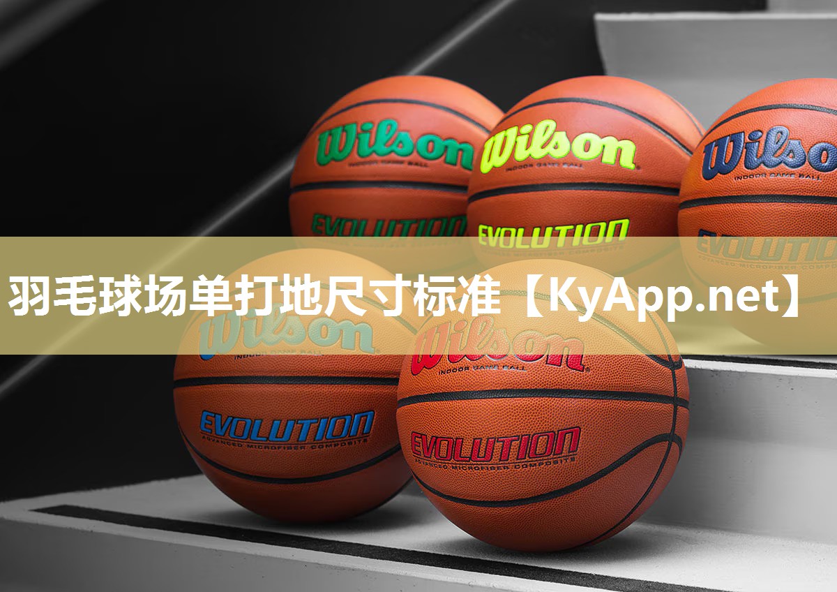 羽毛球场单打地尺寸标准 羽毛球场单打地尺寸标准